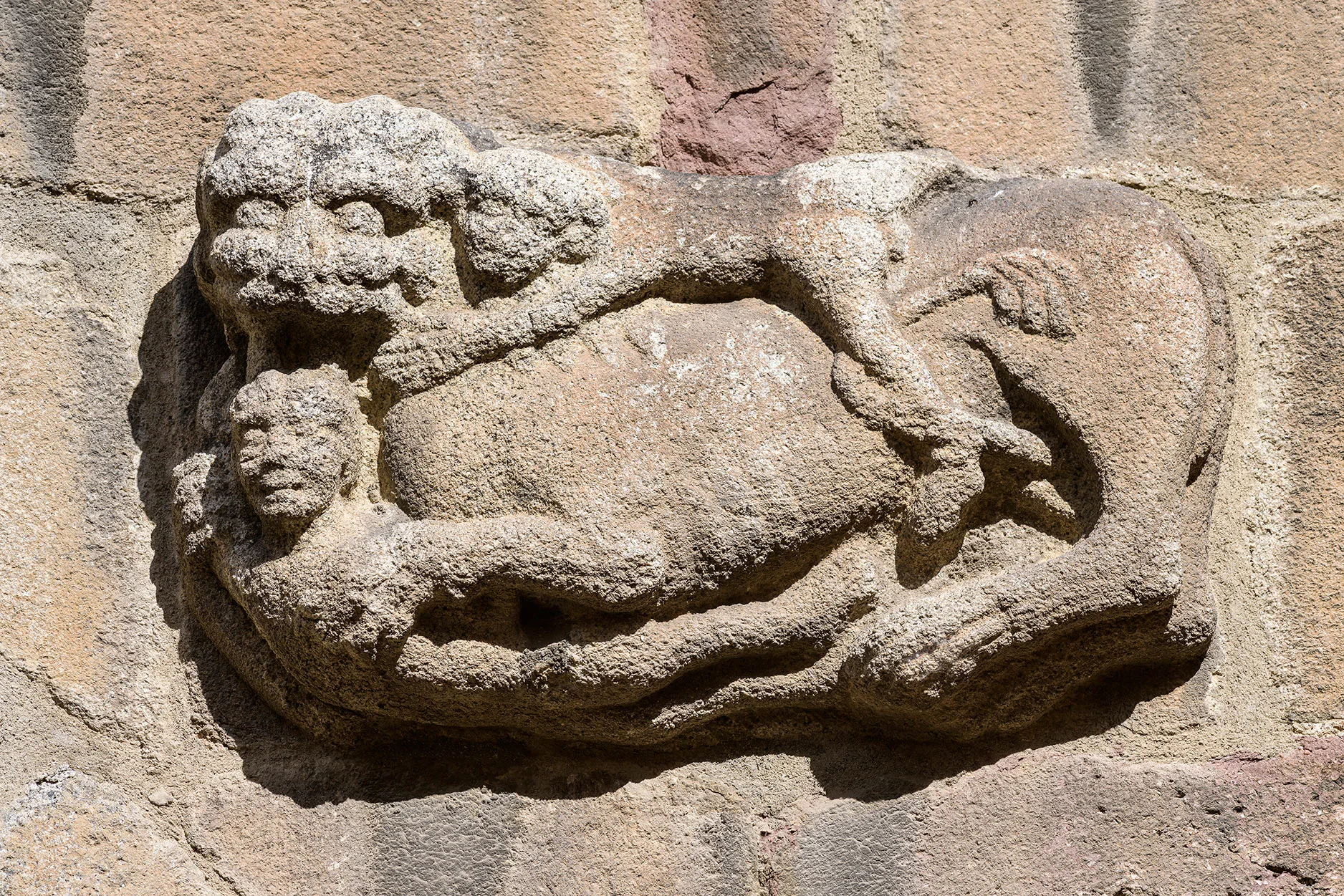 Escultura d'un lleó menjant-se una persona a la façana principal de la Catedral de Santa Maria d'Urgell. 